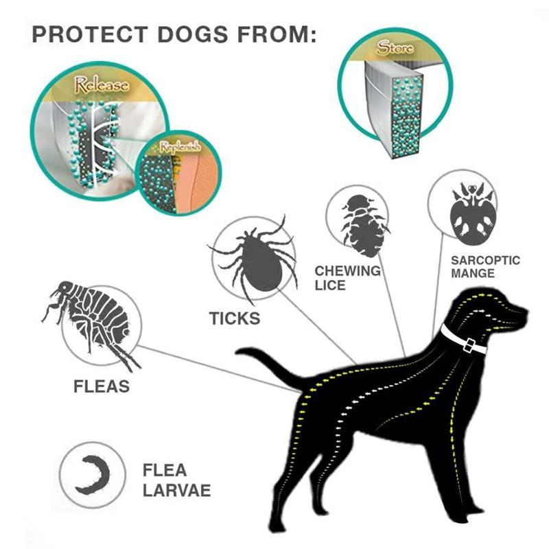 Tick Collar for Dogs - PetGuard Pro