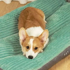 Orthopedic Dog Bed - CozyNest Premium Pet Comfort