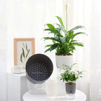 Self-Watering Plant Pot - VerdantEase