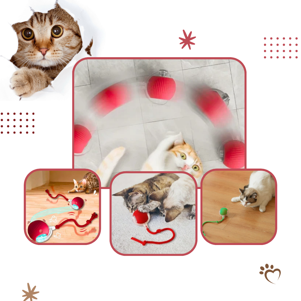 Interactive Cat Ball Toy - Purrfect Play