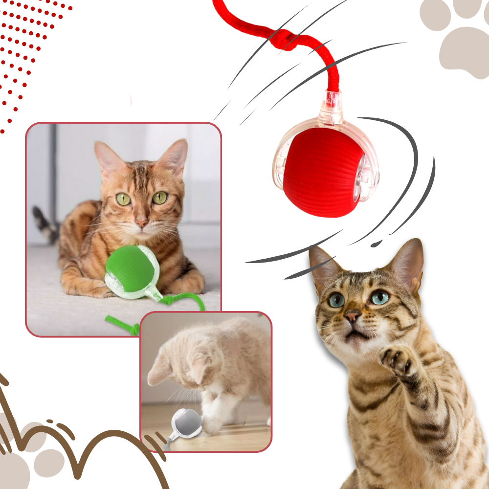 Interactive Cat Ball Toy - Purrfect Play
