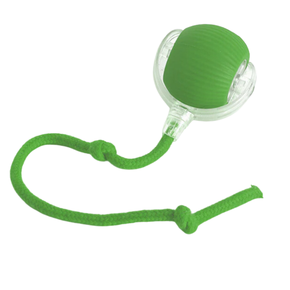 Interactive Cat Ball Toy - Purrfect Play
