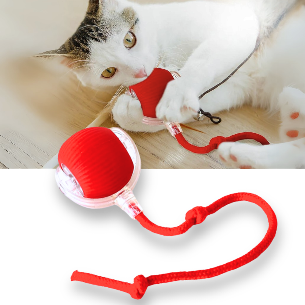 Interactive Cat Ball Toy - Purrfect Play