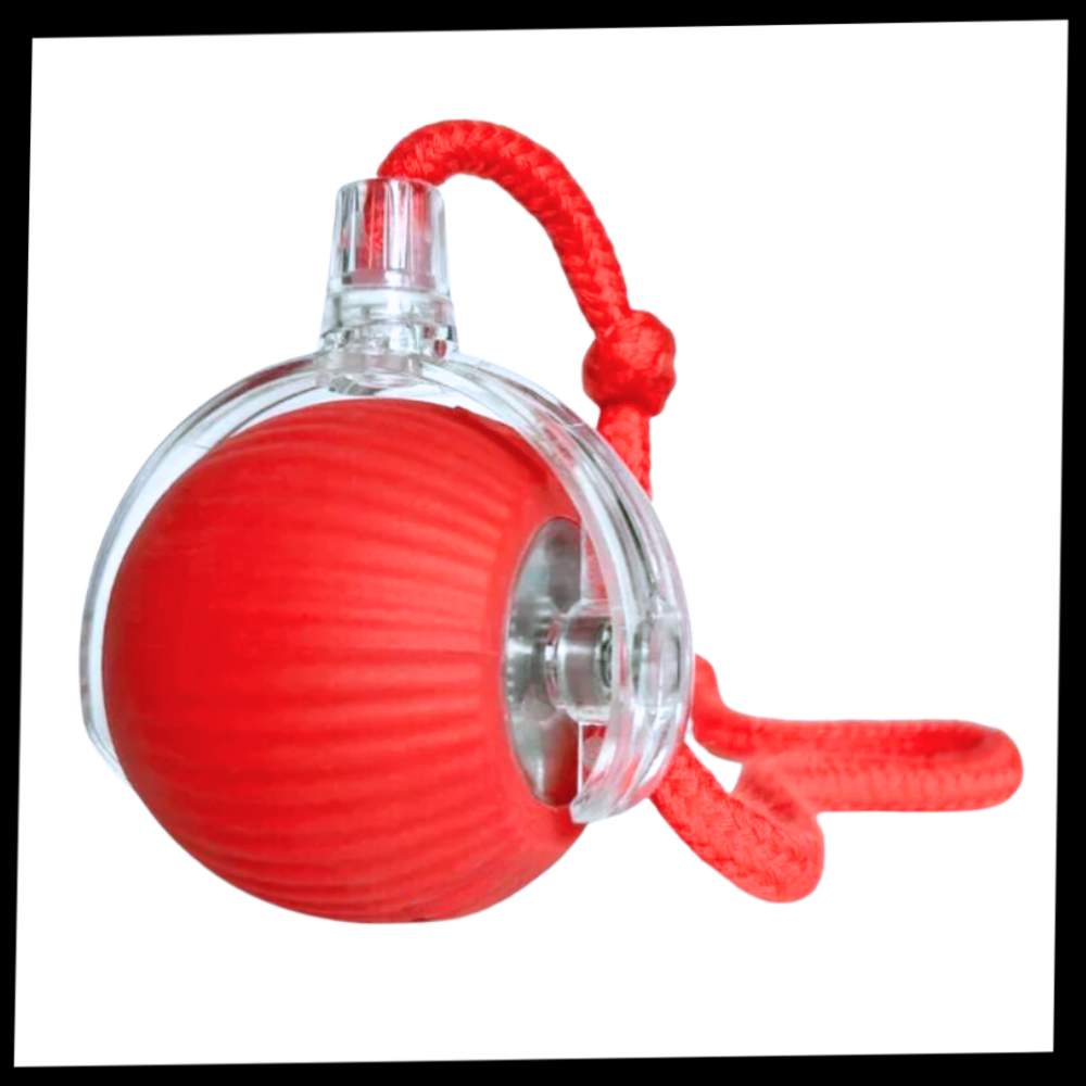 Interactive Cat Ball Toy - Purrfect Play