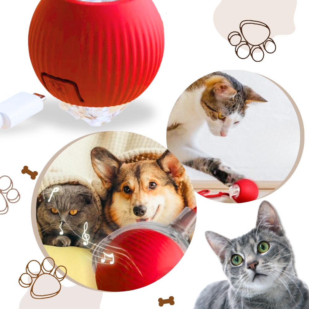 Interactive Cat Ball Toy - Purrfect Play