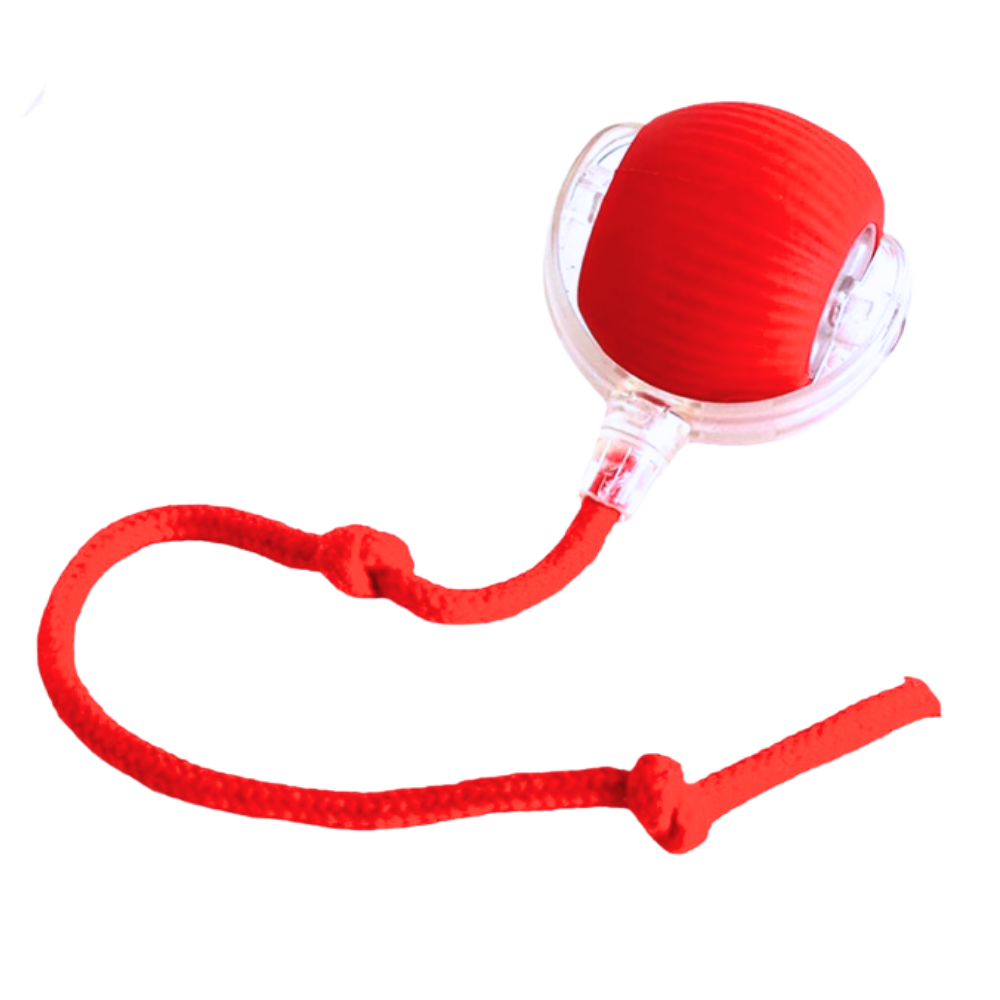 Interactive Cat Ball Toy - Purrfect Play