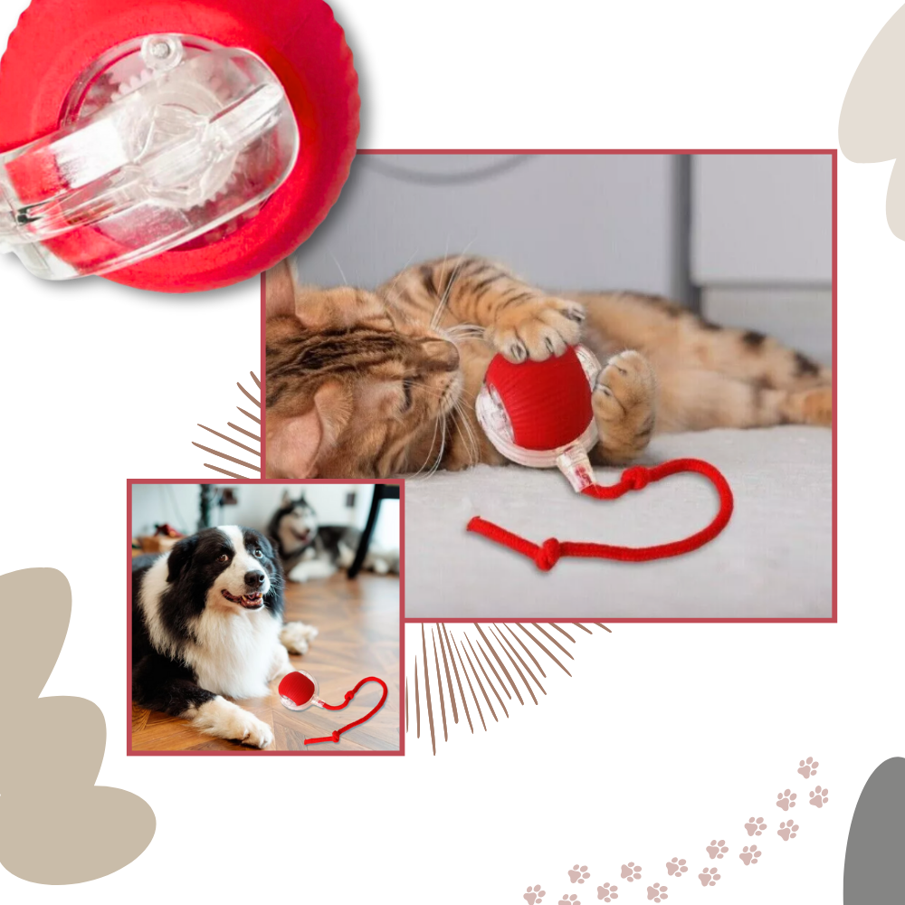 Interactive Cat Ball Toy - Purrfect Play