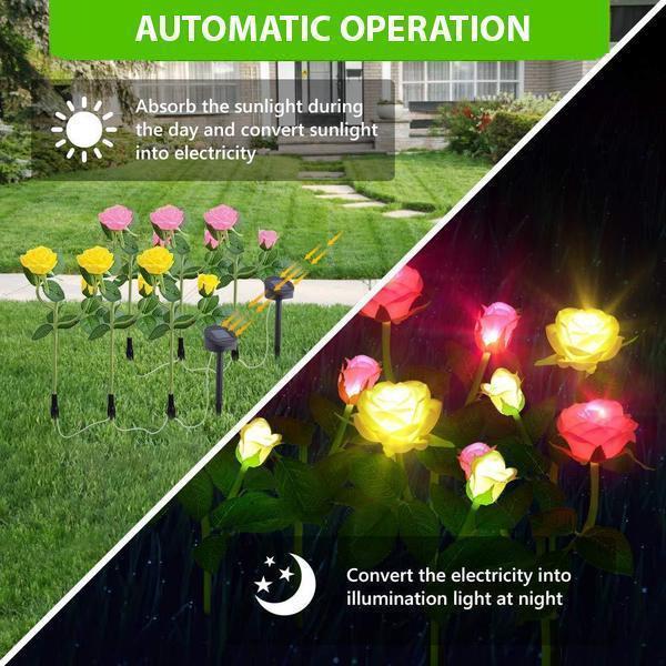 Solar LED Roses - Lumina Bloom