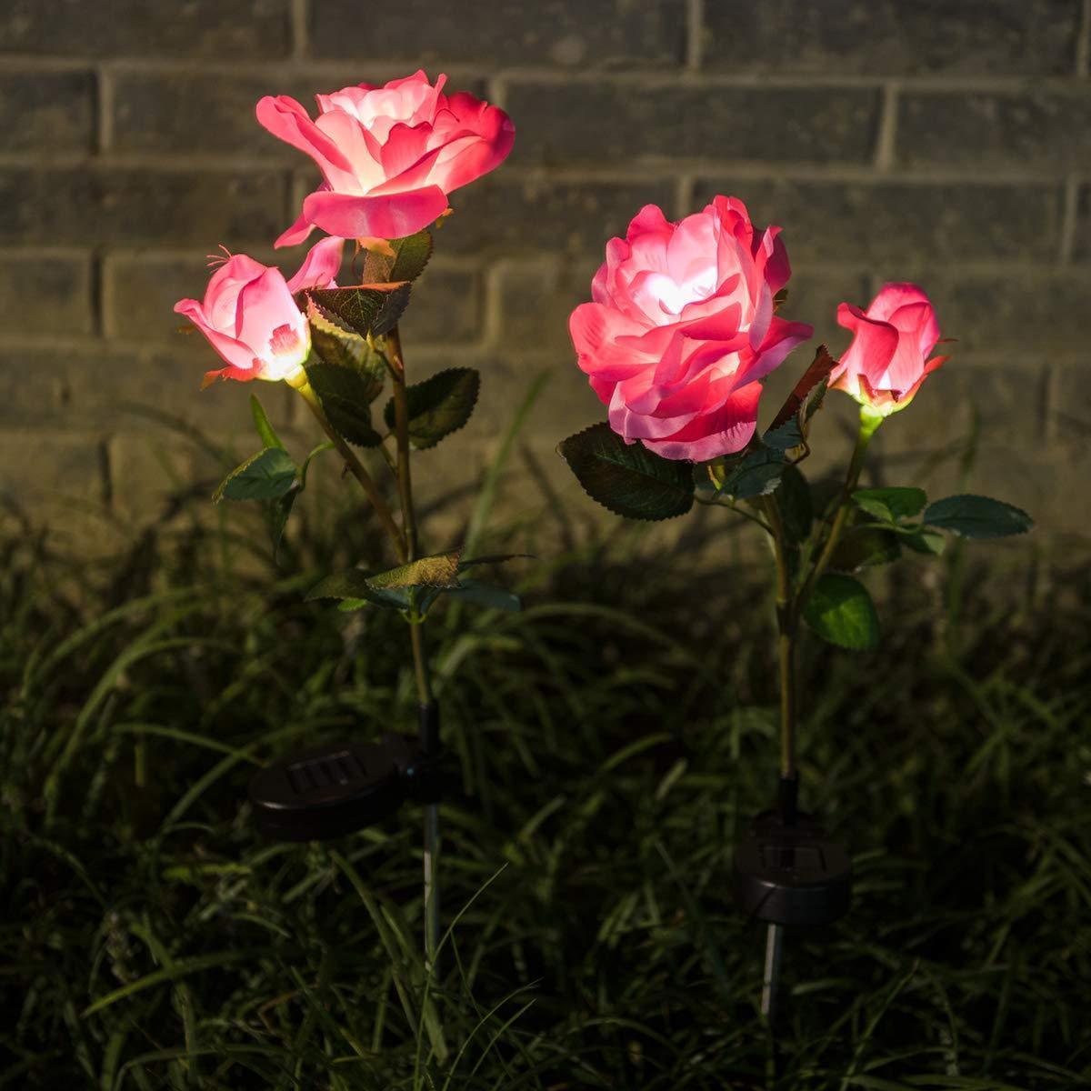 Solar LED Roses - Lumina Bloom