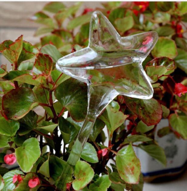 Self-Watering Plant Bulb - Verdant Bloom
