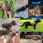 K9 Harness - Canine Comfort Adjustable Training Gear