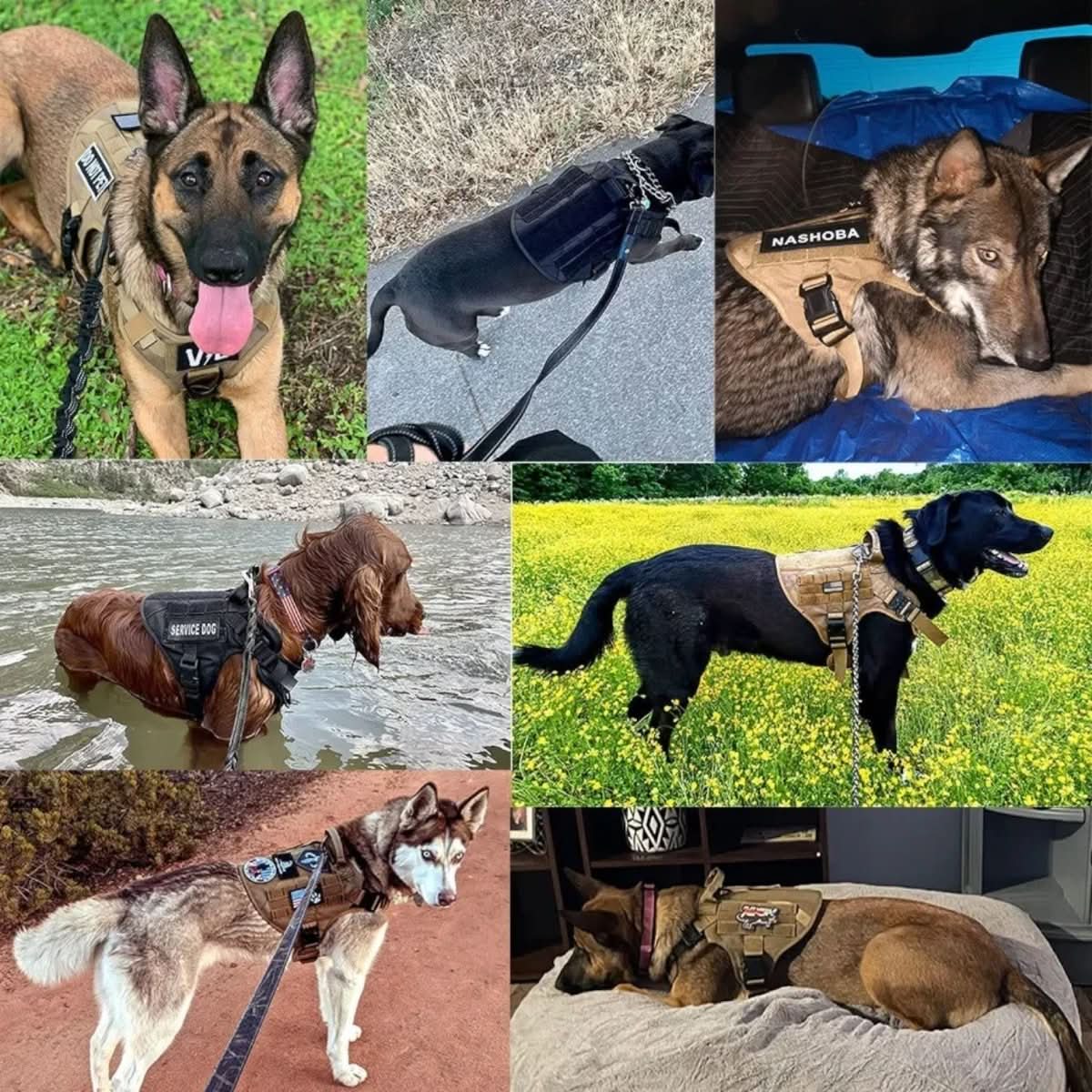 K9 Harness - Canine Comfort Adjustable Training Gear