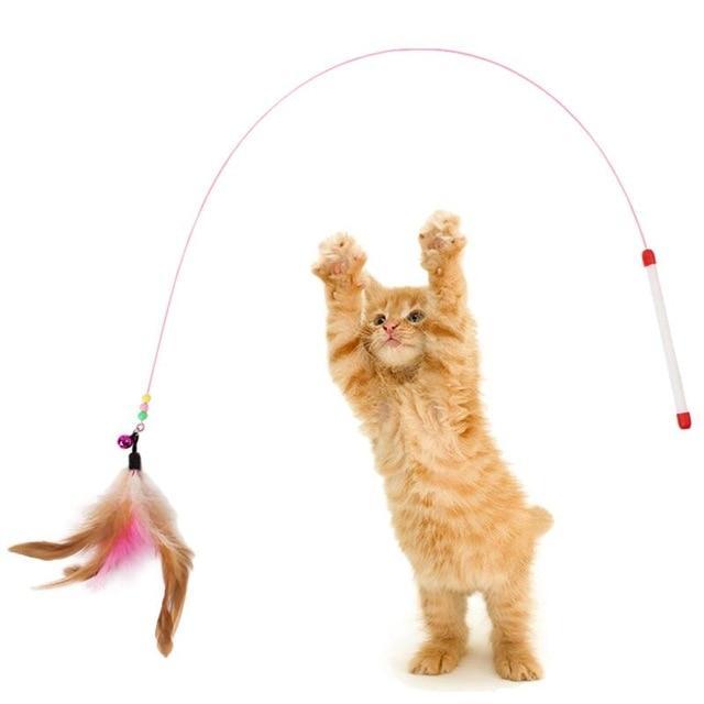 Interactive Cat Feather Wand - Purrfect Play