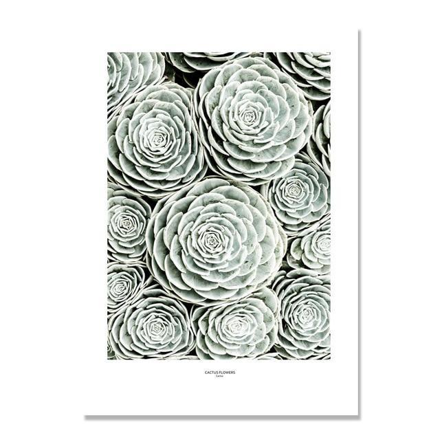 Cactus Wall Art - Verdant Visions