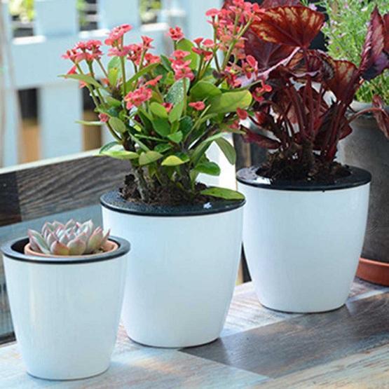 Self Watering Flower Pot - Verdant Luxe