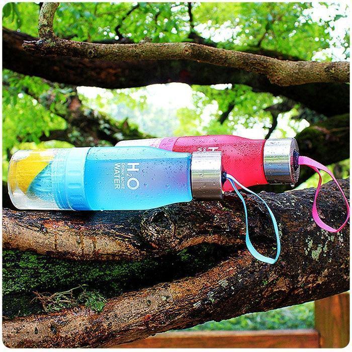 Fruit Infuser Bottle - PureSip