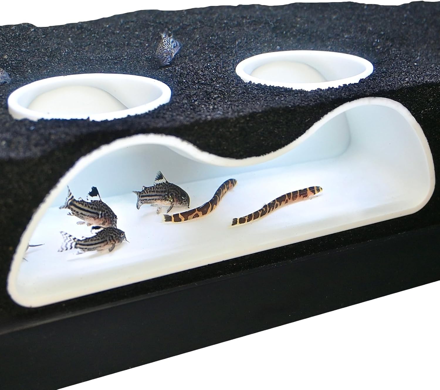 Aquarium Underground Curve Tunnel - AquaVista™
