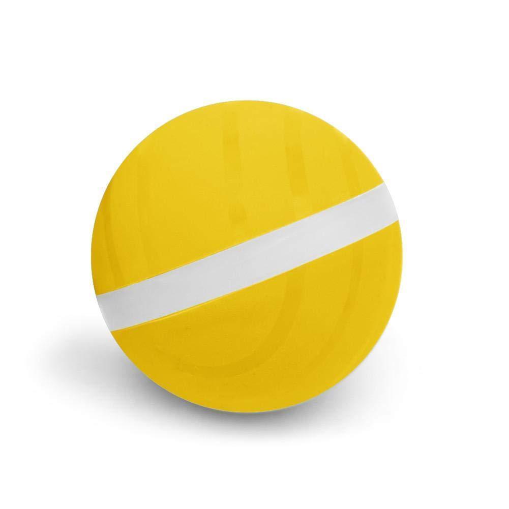 Pet Motion Ball - Pawsitive Play